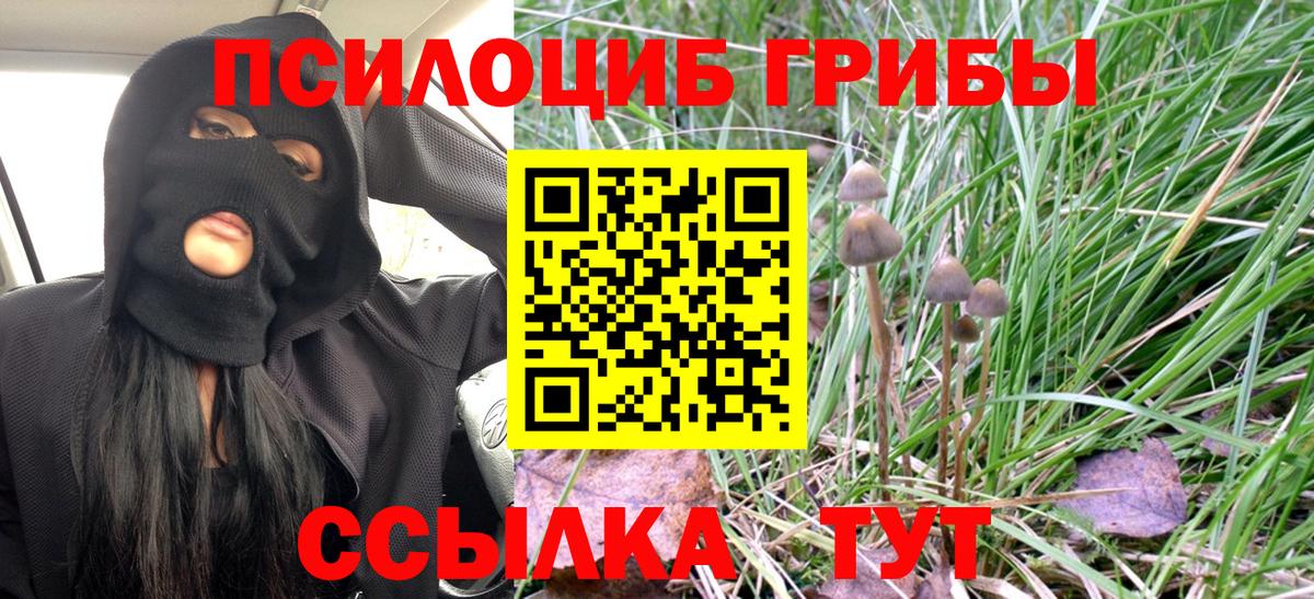 Урюпинск  Псилоцибиновые грибы Magic Shrooms  Галлюциногенные грибы прущие грибы  Вход с VPN 
